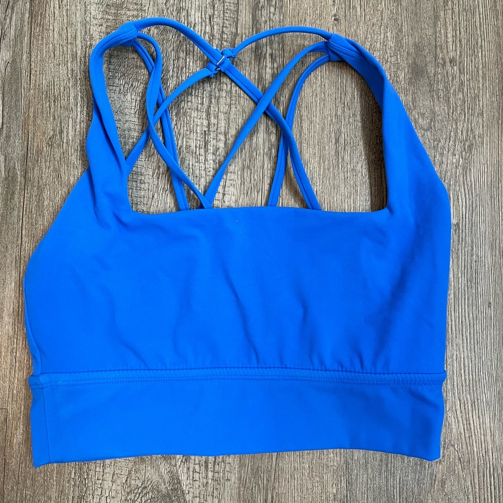 BuffBunny Blue Sports Bra
